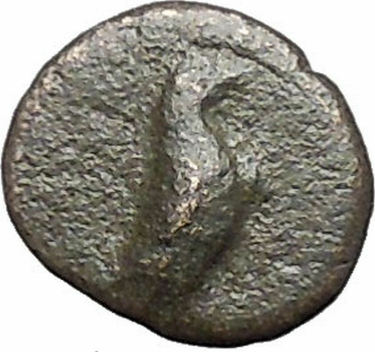 Kyme in Aeolis 350BC EAGLE & VASE on Authentic Ancient Greek Coin i48571