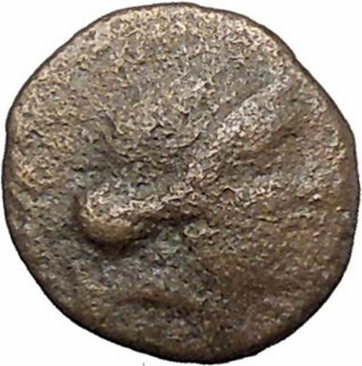 KYME in AEOLIS 350BC AMAZON KYME Vase RARE Authentic Ancient Greek Coin i48157