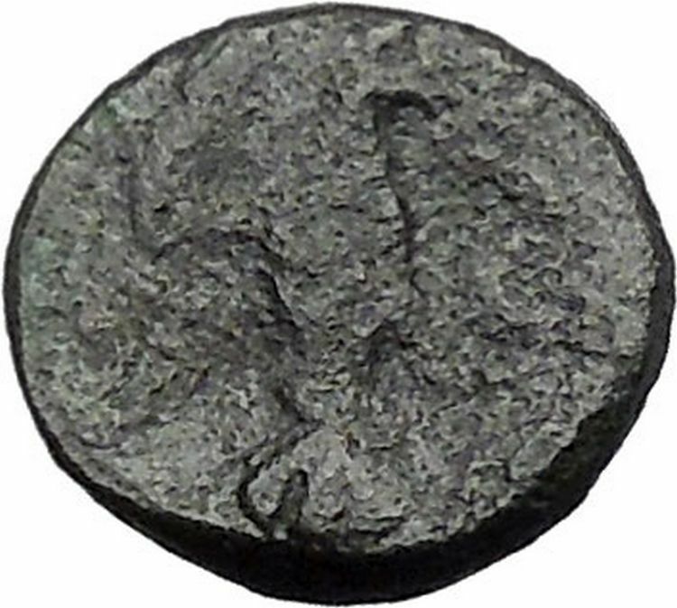 CHALKIS in EUBOEA 290BC Hera Eagle Serpent Authentic Ancient Greek Coin i48793