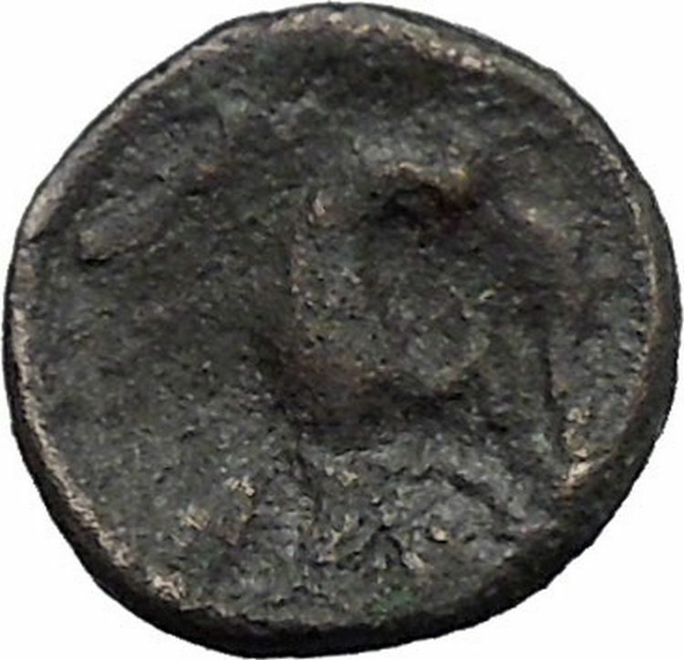 CHALKIS in EUBOEA 290BC Hera Eagle Serpent Authentic Ancient Greek Coin i48795