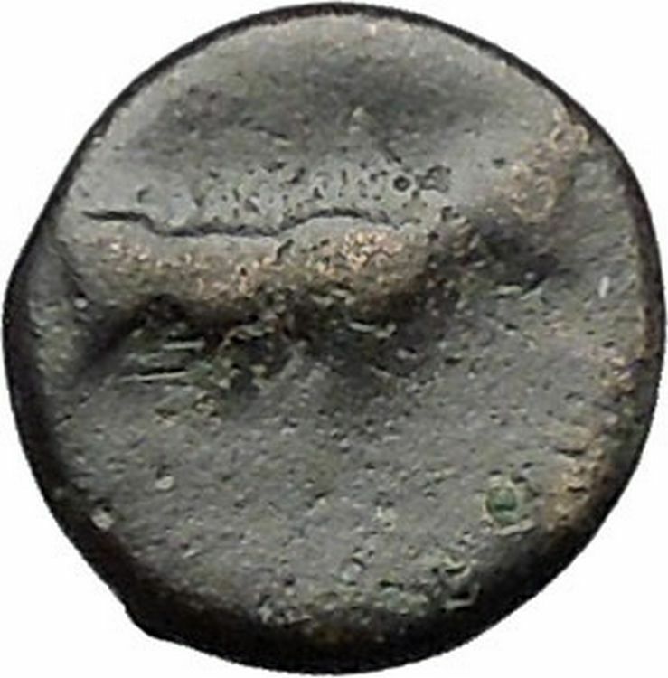 Boione in Aiolis 300BC Ancient Greek Coin Female head BULL i49586