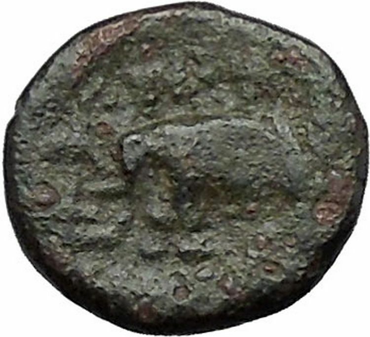 Antiochos III the Great 223BC RARE Ancient Greek Coin Elephant i50271