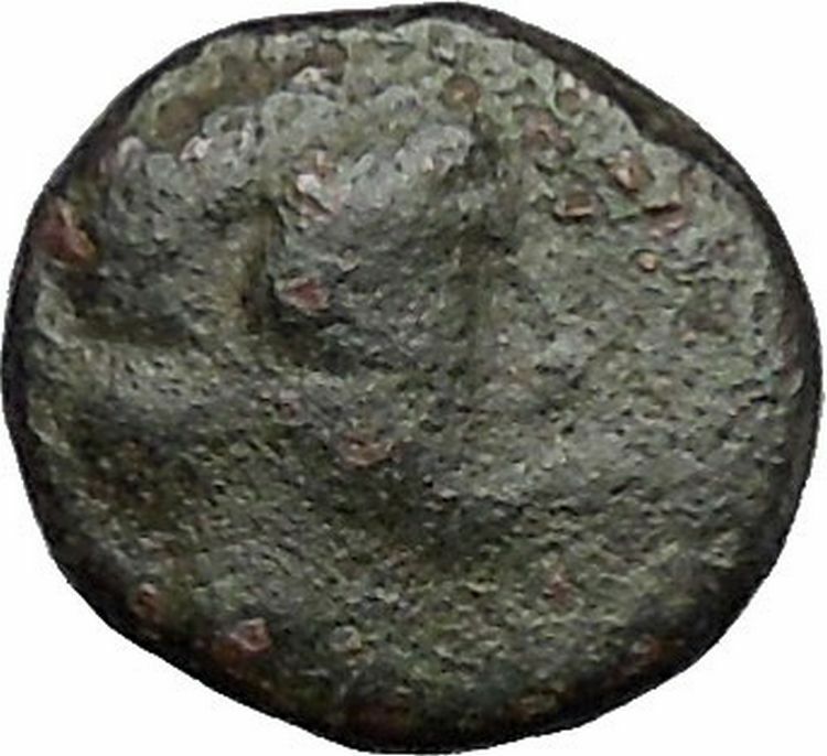 Antiochos III the Great 223BC RARE Ancient Greek Coin Elephant i50271