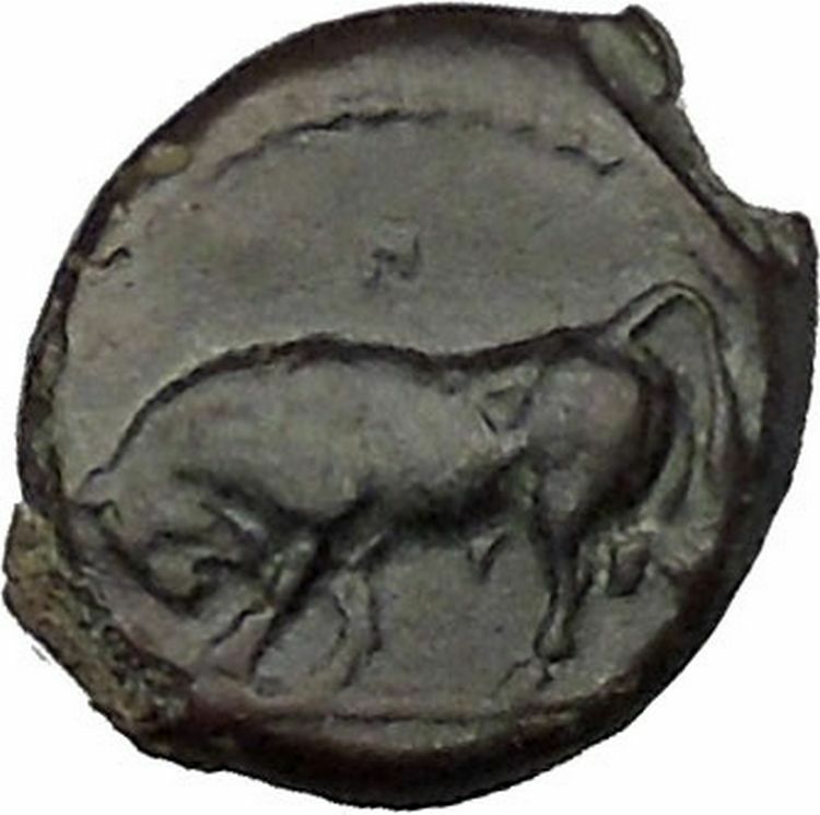 GELA in SICILY 420BC Bull River-god Gelas Rare UNPUBLISHED Greek Coin i51593