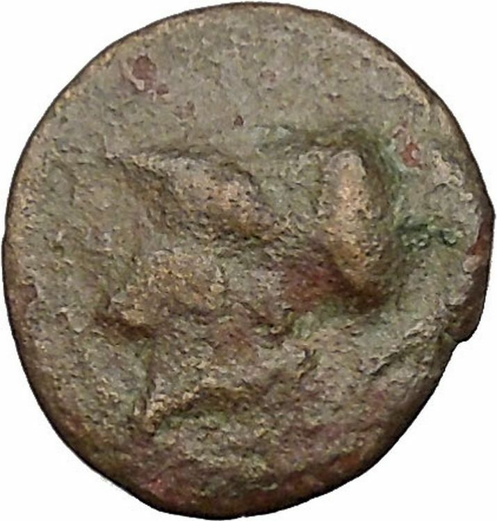 Syracuse in Sicily under Agathocles 305BC Athena Thundebolt Greek Coin i51867