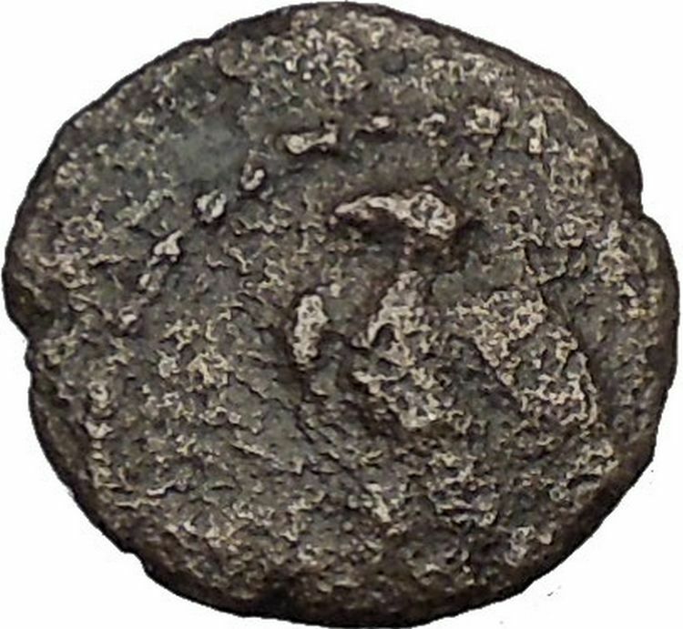 BERYTUS Berytos in PHOENICIA Augustus Time 27BC Eagle Ancient Greek Coin i52772