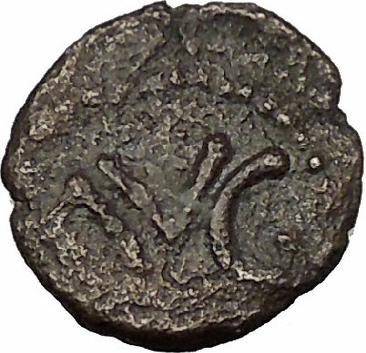 BERYTUS Berytos in PHOENICIA Augustus Time 27BC Eagle Ancient Greek Coin i52772