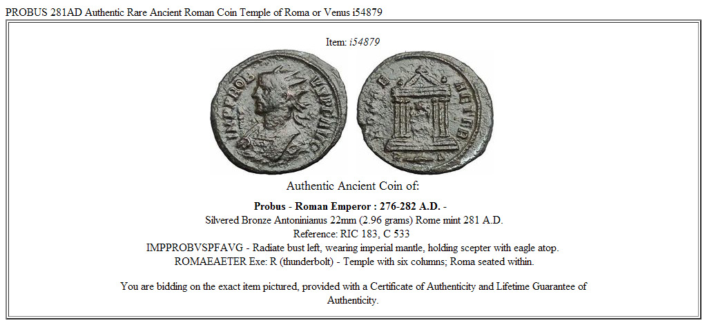 PROBUS 281AD Authentic Rare Ancient Roman Coin Temple of Roma or Venus i54879