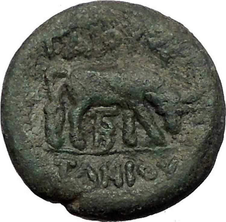 PELLA in MACEDONIA 168BC Roman Quaestor Tamios Athena Bull Greek Coin i55520