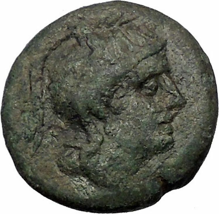 PELLA in MACEDONIA 168BC Roman Quaestor Tamios Athena Bull Greek Coin i55520