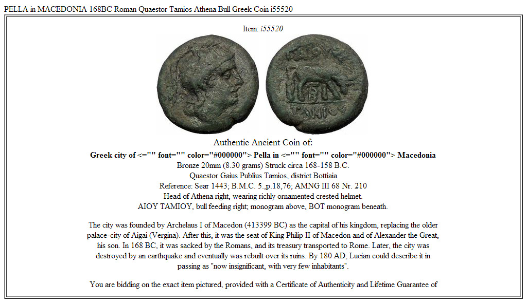PELLA in MACEDONIA 168BC Roman Quaestor Tamios Athena Bull Greek Coin i55520