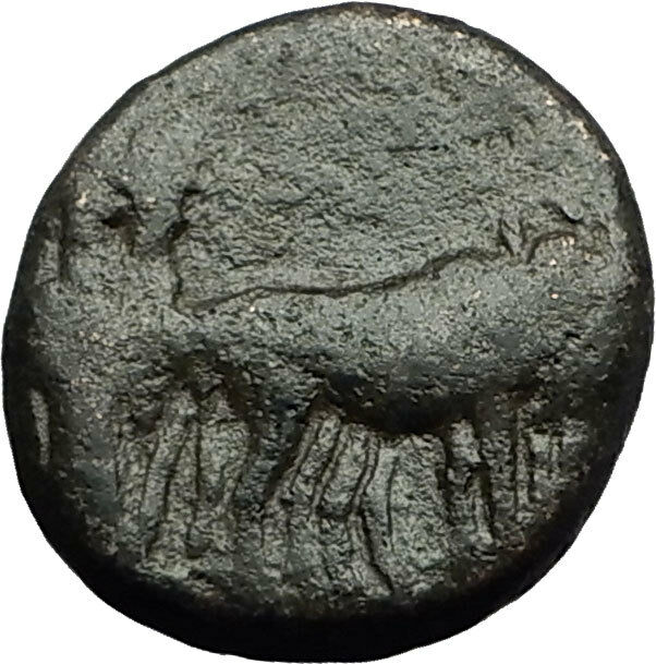 AUGUSTUS 27BC Philippi Macedonia PRIESTS Founding City Oxen Roman Coin i59298