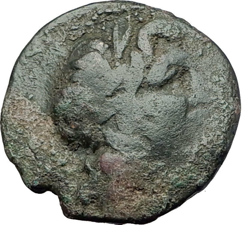 AMPHIPOLIS in MACEDONIA 95BC RARE R1 Ancient Greek Coin JUPITER GALLEY i61309