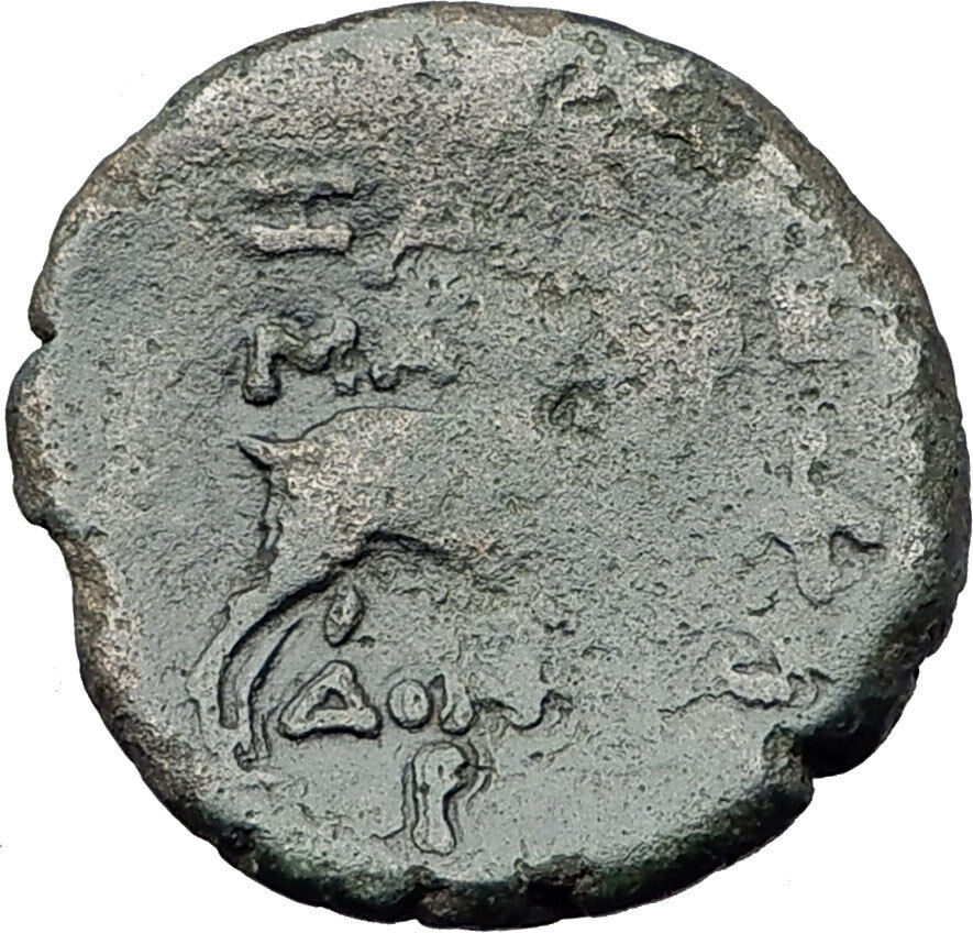 AMPHAXITIS District THESSALONICA Macedonia 168BC Greek Coin DIONYSUS GOAT i61435