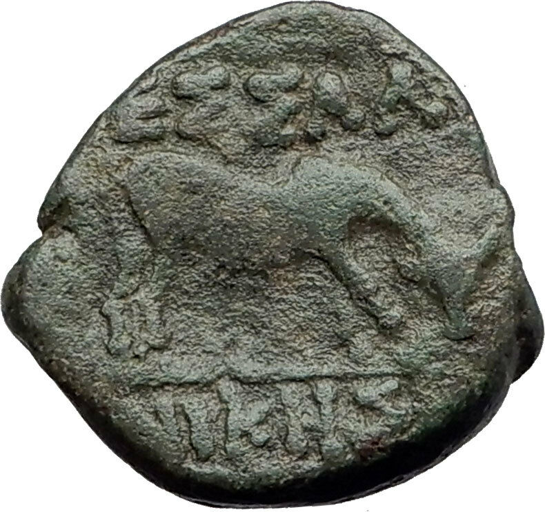 THESSALONICA in Macedonia 146BC Authentic Ancient Greek Coin ATHENA BULL i62655