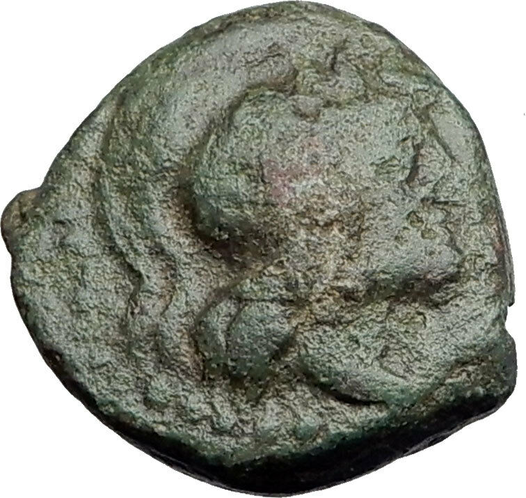 THESSALONICA in Macedonia 146BC Authentic Ancient Greek Coin ATHENA BULL i62655