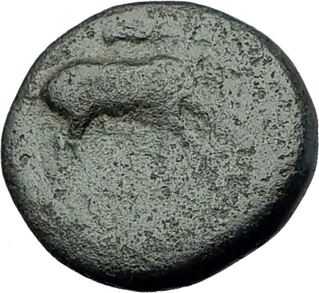 EPHESOS in IONIA 280BC Authentic Ancient Greek Coin BEE Stag & Quiver i63247