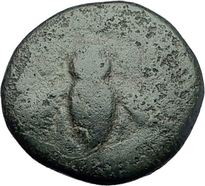 EPHESOS in IONIA 280BC Authentic Ancient Greek Coin BEE Stag & Quiver i63247