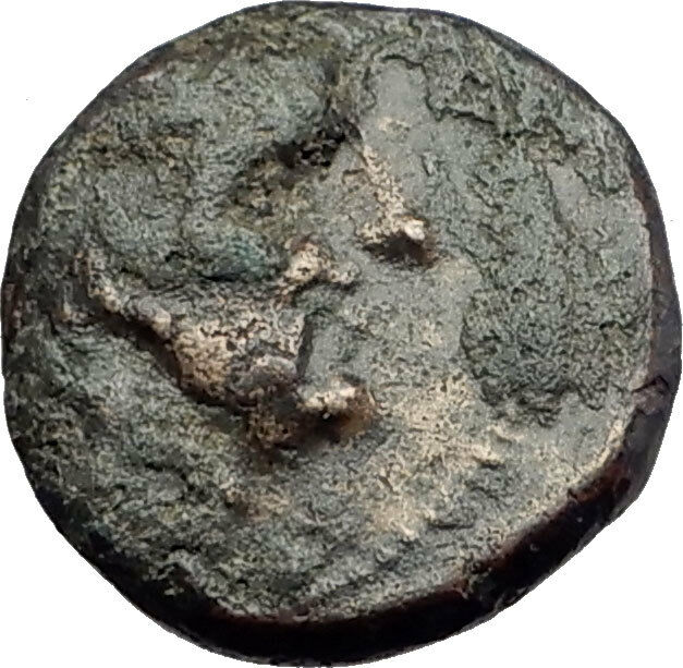 ANTIOCHOS III Megas 222BC Seleukid RARE R3 Authentic Ancient Greek Coin i63708