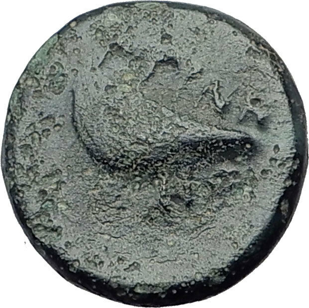 GRYNION or Gyrneion Aeolis 306BC Apollo Shell RARE Ancient Greek Coin i65176