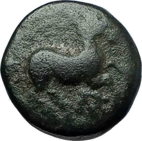 MARONEIA Thrace 400BC Authentic Ancient Greek Coin w HORSE & WINE GRAPES i67873