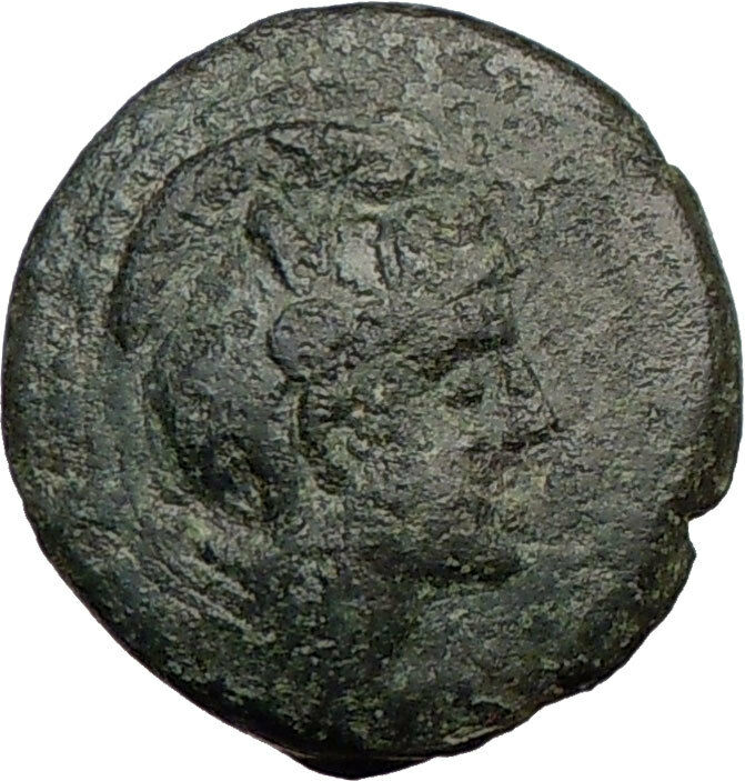 PELLA 168BC Ancient Authentic Greek Coin BULL i21857