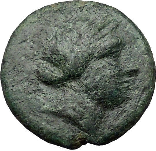 CYME KYME Asia Minor 300BC Ancient Greek Coin Horse Amazon warrior i31480