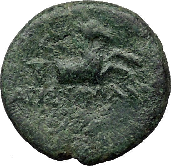 CYME KYME Asia Minor 300BC Ancient Greek Coin Horse Amazon warrior i31480