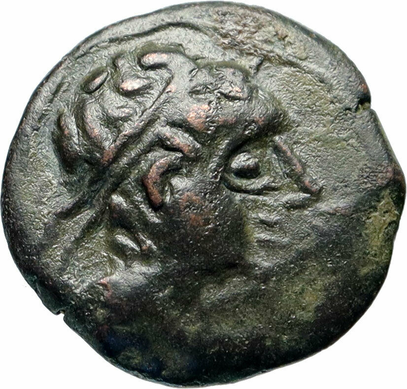 CASTULO Spain 2nd Century BC Male Bull Authentic Ancient Greek Coin i46574