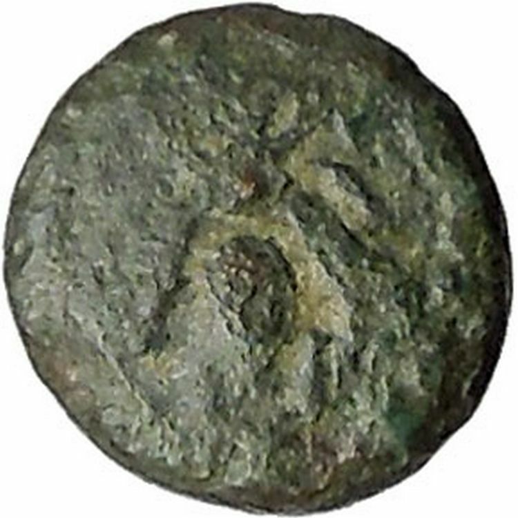 EPHESUS Ephesos Ionia 300BC Bee Stag Quiver Authentic Ancient Greek Coin i45492