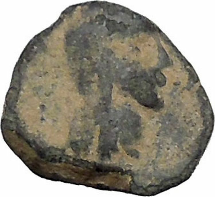 ARETAS IV 9BC Arab Kingdom of Nabataea Authentic Ancient PETRA Greek Coin i46936