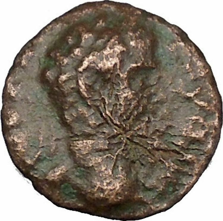 SEPTIMIUS SEVERUS Nicopolis ad Istrum Rare Ancient Roman Coin Bacchus i48490