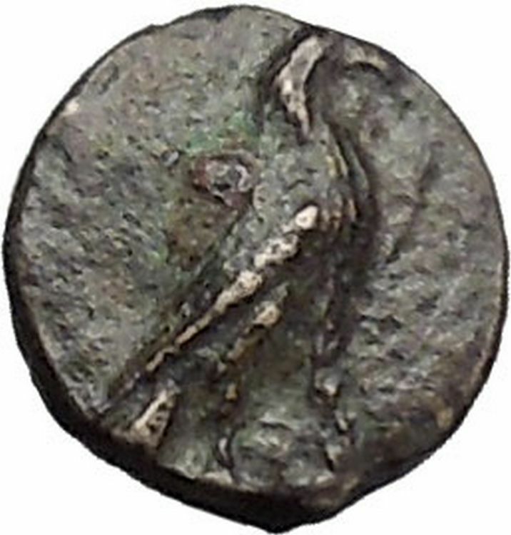 Kyme in Aeolis 350BC EAGLE & VASE on Authentic Ancient Greek Coin i48600