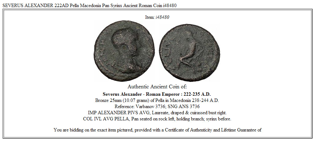 SEVERUS ALEXANDER 222AD Pella Macedonia Pan Syrinx Ancient Roman Coin i48480