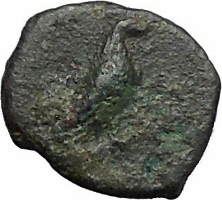 Kyme in Aeolis 350BC EAGLE & VASE on Authentic Ancient Greek Coin i48563