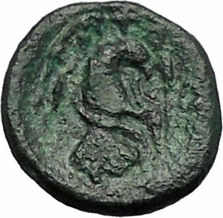 CHALKIS in EUBOEA 290BC Hera Eagle Serpent Authentic Ancient Greek Coin i48797