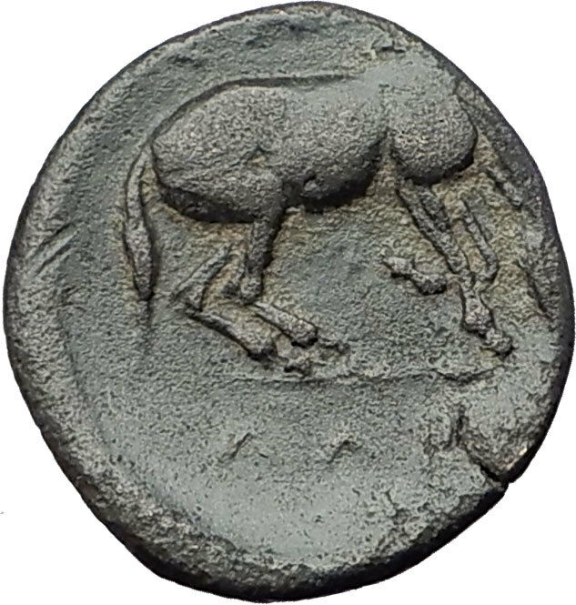 LARISSA Thessaly Genuine 360BC Authentic Ancient Greek Coin NYMPH & HORSE i61352