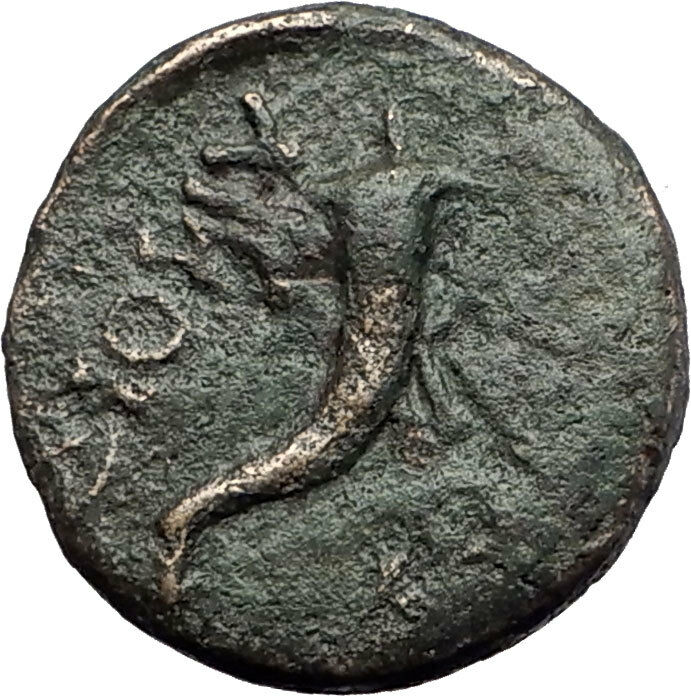 DIONYSOPOLIS in Moesia - Authentic Ancient Greek Coin HERCULES CORNUCOPIA i61399