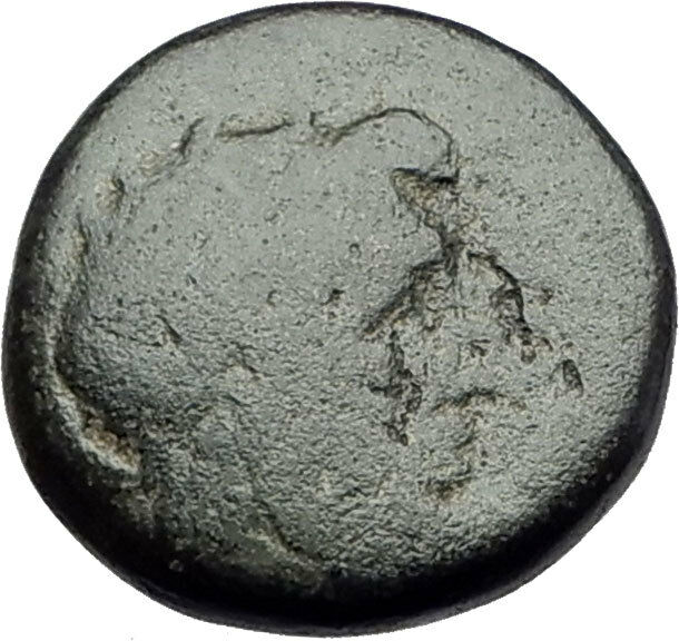 PHILADELPHIA Lydia 2CenBC Authentic Ancient Greek Coin ZEUS Kithara LYRE i62269