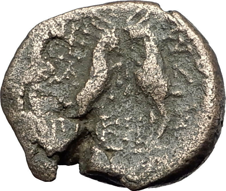 THESSALONICA Macedonia 148BC RARE Genuine Ancient Greek Coin ZEUS & GOATS i61555