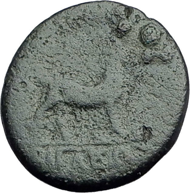 AIGAI in AEOLIS 2-1stCenBC Authentic Ancient Greek Coin APOLLO & GOAT i62640