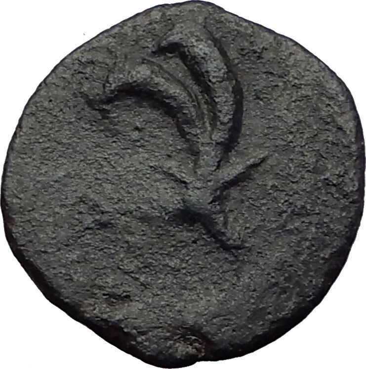 GAZA in JUDEA 2-1CenBC RARE Authentic Ancient Greek Coin ZEUS CORNUCOPIA i64145