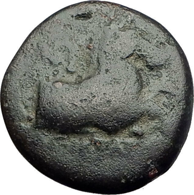 KYME in AEOLIS - Genuine 350BC Authentic Ancient Greek Coin HORSE & VASE i64584