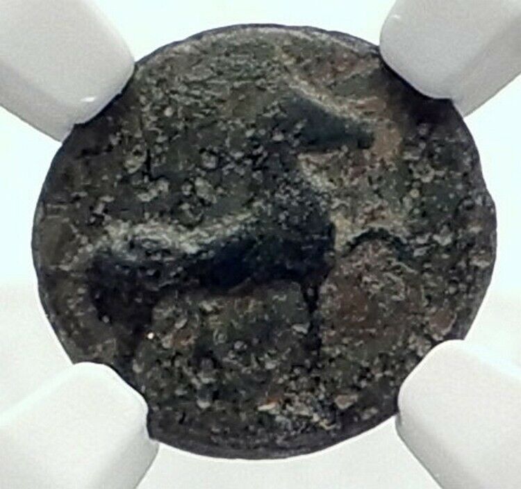 MYLASA in CARIA Authentic Ancient 210BC Greek Coin w HORSE TRIDENT NGC i77367