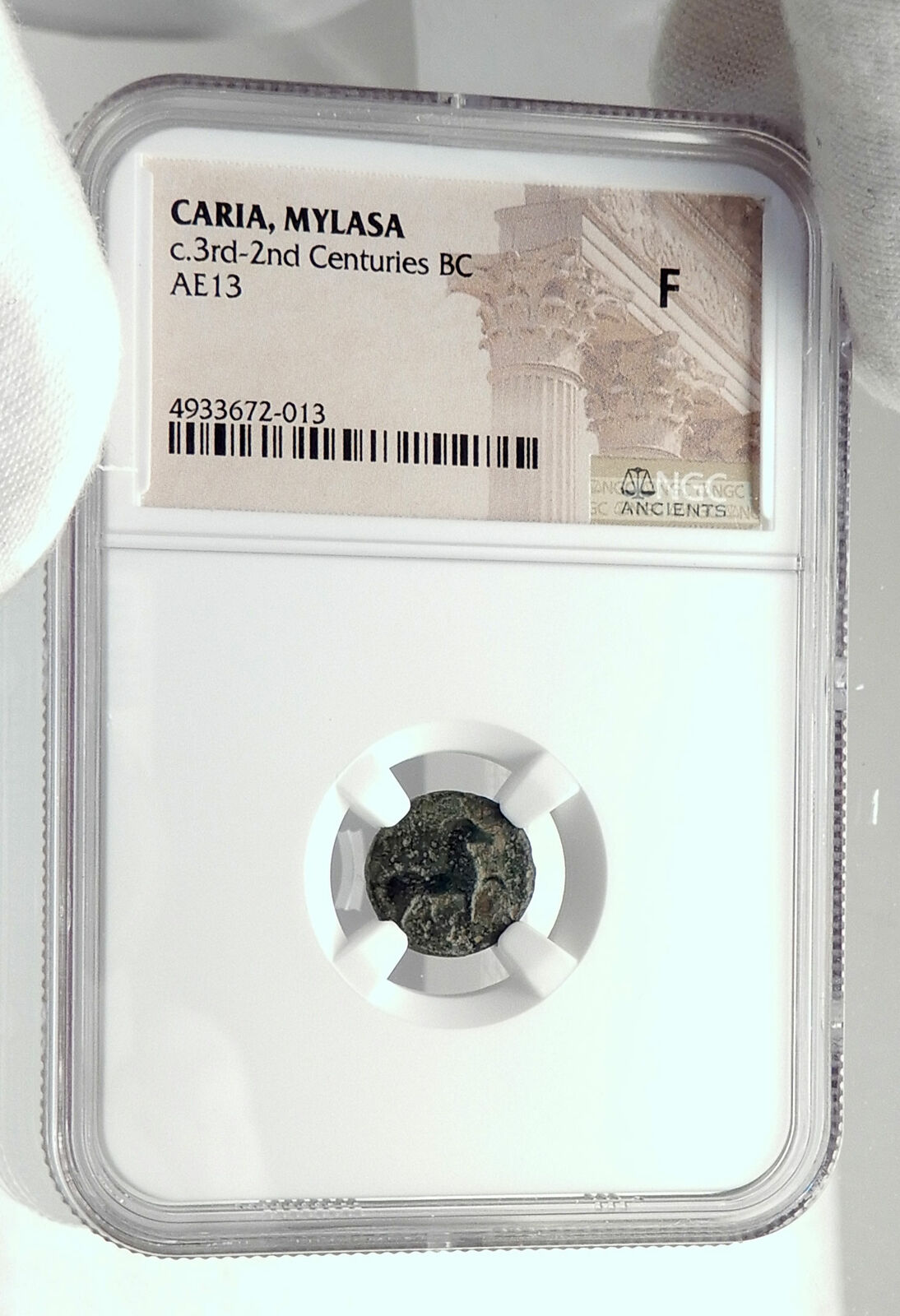 MYLASA in CARIA Authentic Ancient 210BC Greek Coin w HORSE TRIDENT NGC i77367