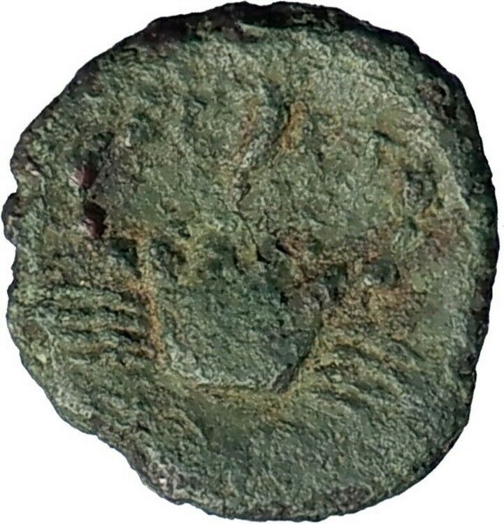 BRETTII Brettian League in BRUTTIUM 214BC 2nd Punic War Time GREEK Coin i77234