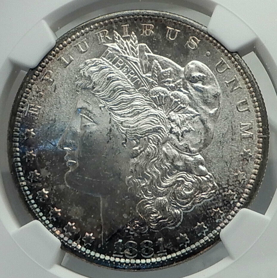 1881 UNITED STATES of America SILVER Morgan US Dollar Coin EAGLE NGC MS i79612