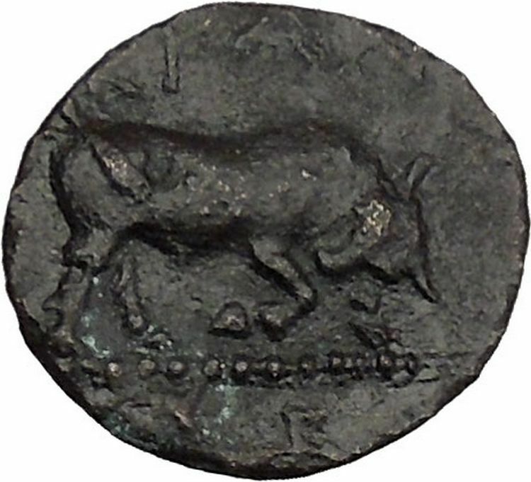 KRANNON in THESSALY 4thCenBC Thessalos Horse Bull BCD Pedigree Greek Coin i39059