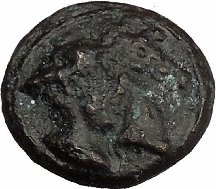 KRANNON in THESSALY 4thCenBC Thessalos Horse Bull BCD Pedigree Greek Coin i39059