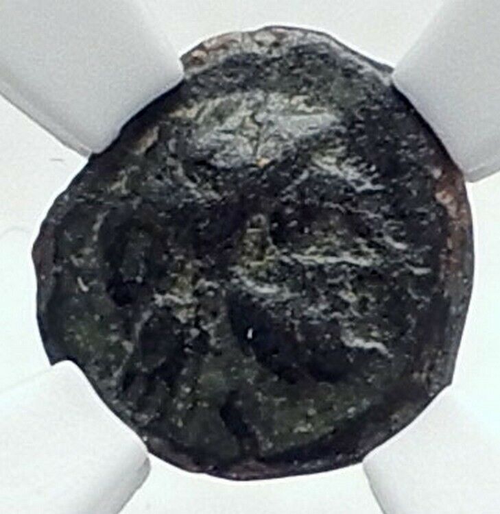 AUTOKANE in AEOLIS Super Rare Ancient 300BC Greek Coin ZEUS ATHENA NGC i81145